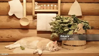 南昌按摩：触摸古韵，触动心灵的文化传承